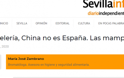 ARTICULO OPINIÓN SOBRE MAMPARAS EN RESTAURACIÓN, SEVILLAINFO