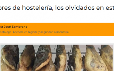 Publico hoy en Sevillainfo; los proveedores de hostelería , los otros perjudicados de la crisis.