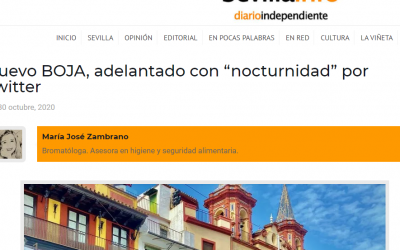 Publiqué un artículo de opinión en Sevillainfo, sobre nuevo BOJA 30/10/20