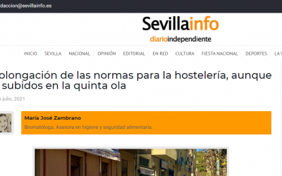SEVILLAINFO, Continuación en las normas para restauración.