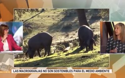 Intervenvión en Canal sur Tv. Andalucía a dos voces