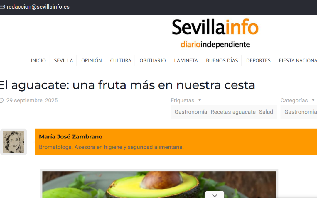 El aguacate de fruta más en nuestra cesta