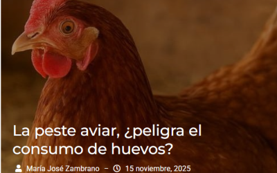 La peste aviar, ¿Peligra el consumo de huevos?
