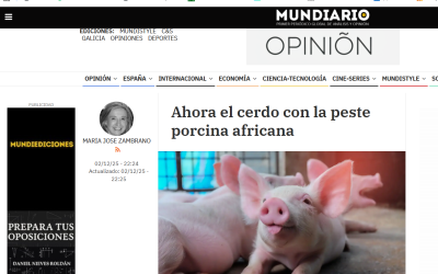 Ahora el cerdo con la peste porcina africana