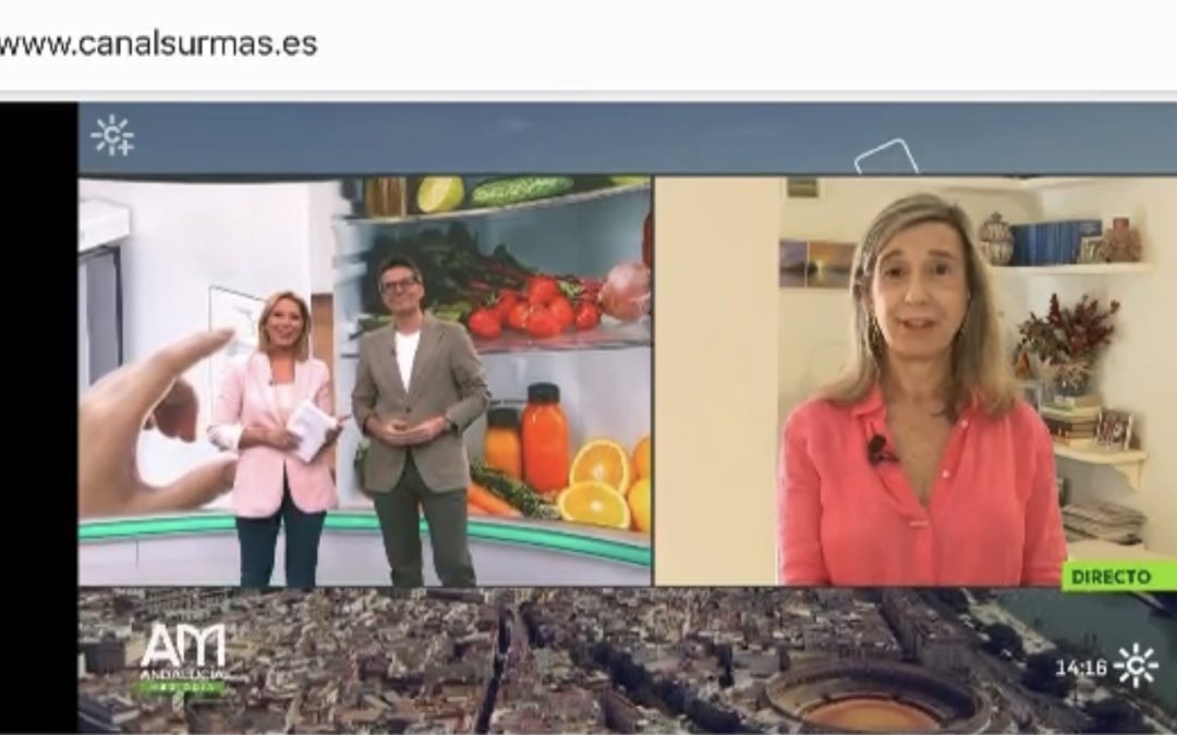 Copia de Intervención en Canal Sur Sobre congelación de alimentos para Navidad